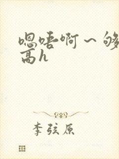 嗯唔啊～够了啊高h封面