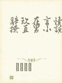 辞玖在言情文里撩直男小说封面