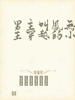 男主叫凤无殇女主穿越的小说封面