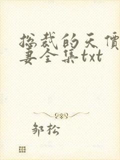 总裁的天价小娇妻全集txt封面