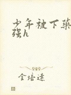 少年被下药玩弄强h