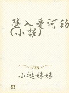 坠入爱河的父女(小说)封面