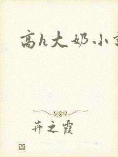 高h大奶小说封面