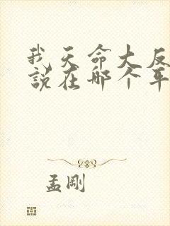 我天命大反派小说在哪个平台