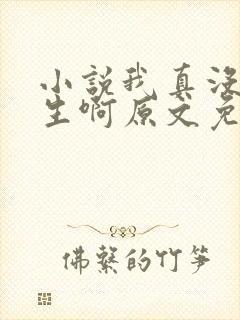 小说我真没想重生啊原文免费阅读