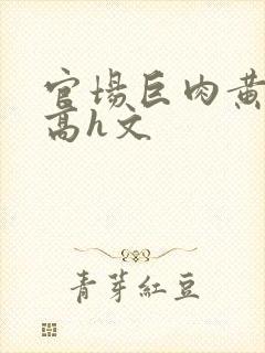 官场巨肉黄暴辣高h文