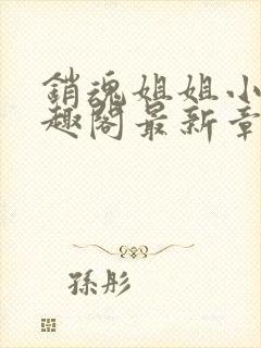 销魂姐姐小说笔趣阁最新章节封面