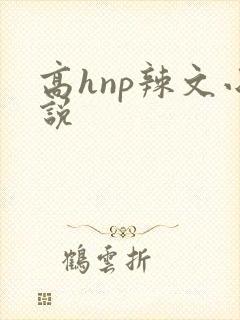高hnp辣文小说