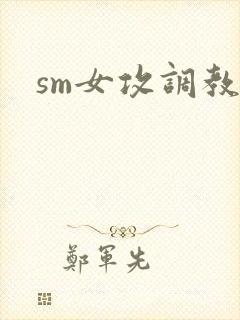 sm女攻调教文