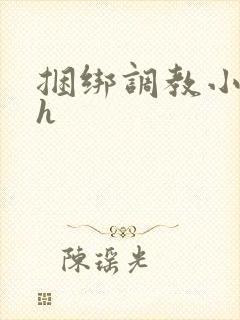 捆绑调教小说高h