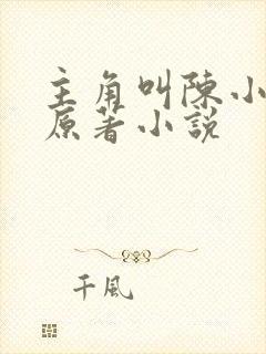 主角叫陈小贰的原著小说