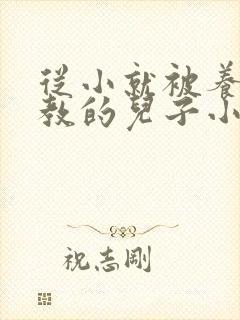 从小就被养父调教的儿子小说