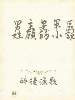 男主是军区首长姓顾的小说