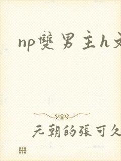 np双男主h文封面