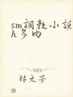 sm调教小说高h多肉