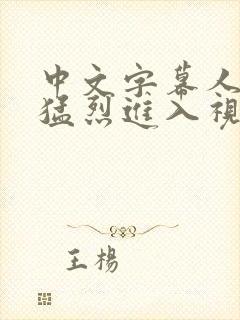 中文字幕人妻被猛烈进入视频