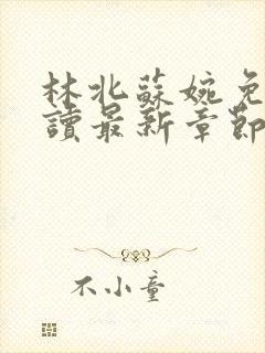 林北苏婉免费阅读最新章节笔趣阁