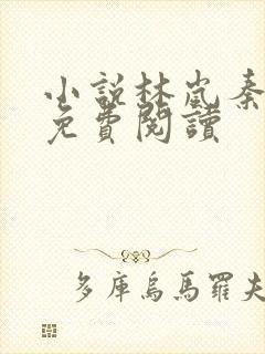 小说林岚秦小雅免费阅读