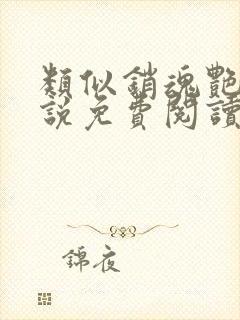 类似销魂艳婢小说免费阅读