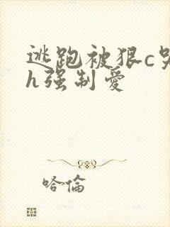 逃跑被狠c哭高h强制爱