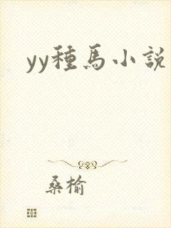 yy种马小说封面