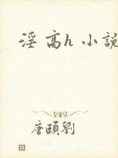 淫 高h 小说封面