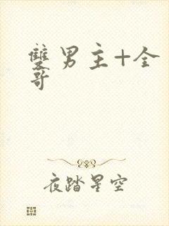 双男主+全 哥哥封面