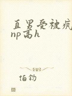 直男受被疯批强np高h