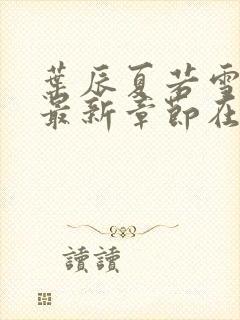 叶辰夏若雪孙怡最新章节在线阅读