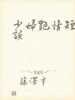 少妇艳情短篇小说封面