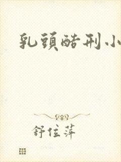 乳头酷刑小说封面