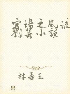 官场之风流医少刘芸小说