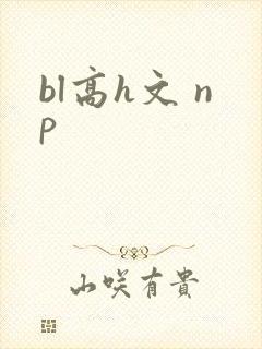 bl高h文 np