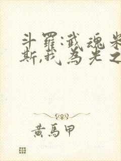 斗罗:武魂米瑞斯,我为光之神笔趣阁