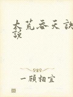 太荒吞天诀 小说