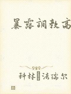 暴露调教高h文封面