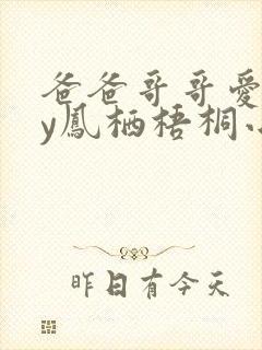 爸爸哥哥爱我by凤栖梧桐小说免费阅读