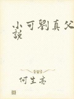 小可刘真父女小说