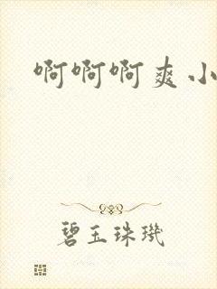 啊啊啊爽小说h封面