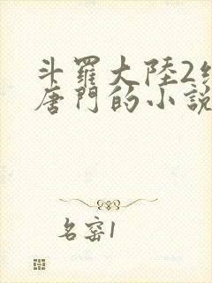 斗罗大陆2绝世唐门的小说封面