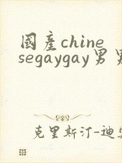 国产chinesegaygay男男封面