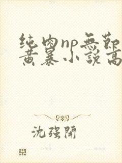 纯肉np无节操黄暴小说高h