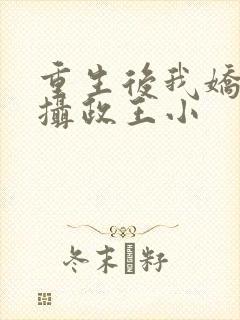 重生后我娇养了摄政王小