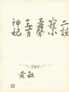 神王毒宠二嫁王妃有声小说