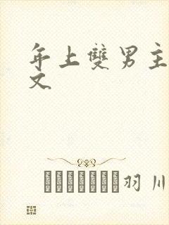 年上双男主高干文封面