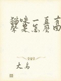 猫咪一直有呼噜声是怎么回事