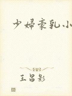 少妇豪乳小说