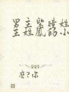 男主紫瞳姓夜女主姓凤的小说