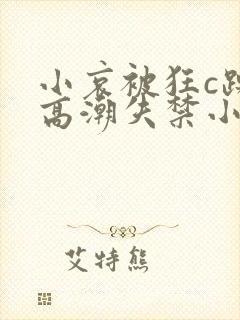 小哀被狂c躁到高潮失禁小说