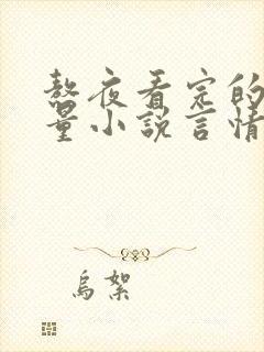 熬夜看完的高质量小说言情